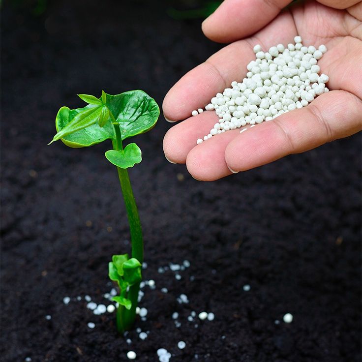 Fertilizer