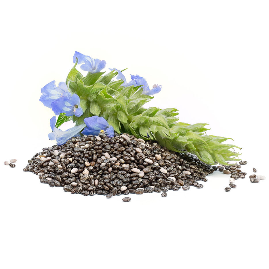 Plant Seeds