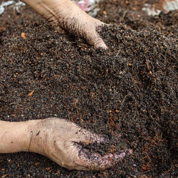 Ready Soil Mix