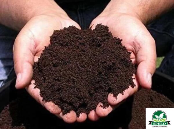 Vermi Compost - Image 3