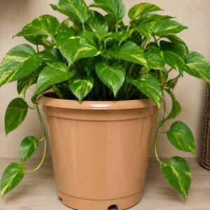 Classic Round Plastic Planter Pot