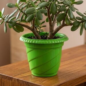 Diagonal Swirl Ridge Pot