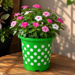 Polka Dot Pots