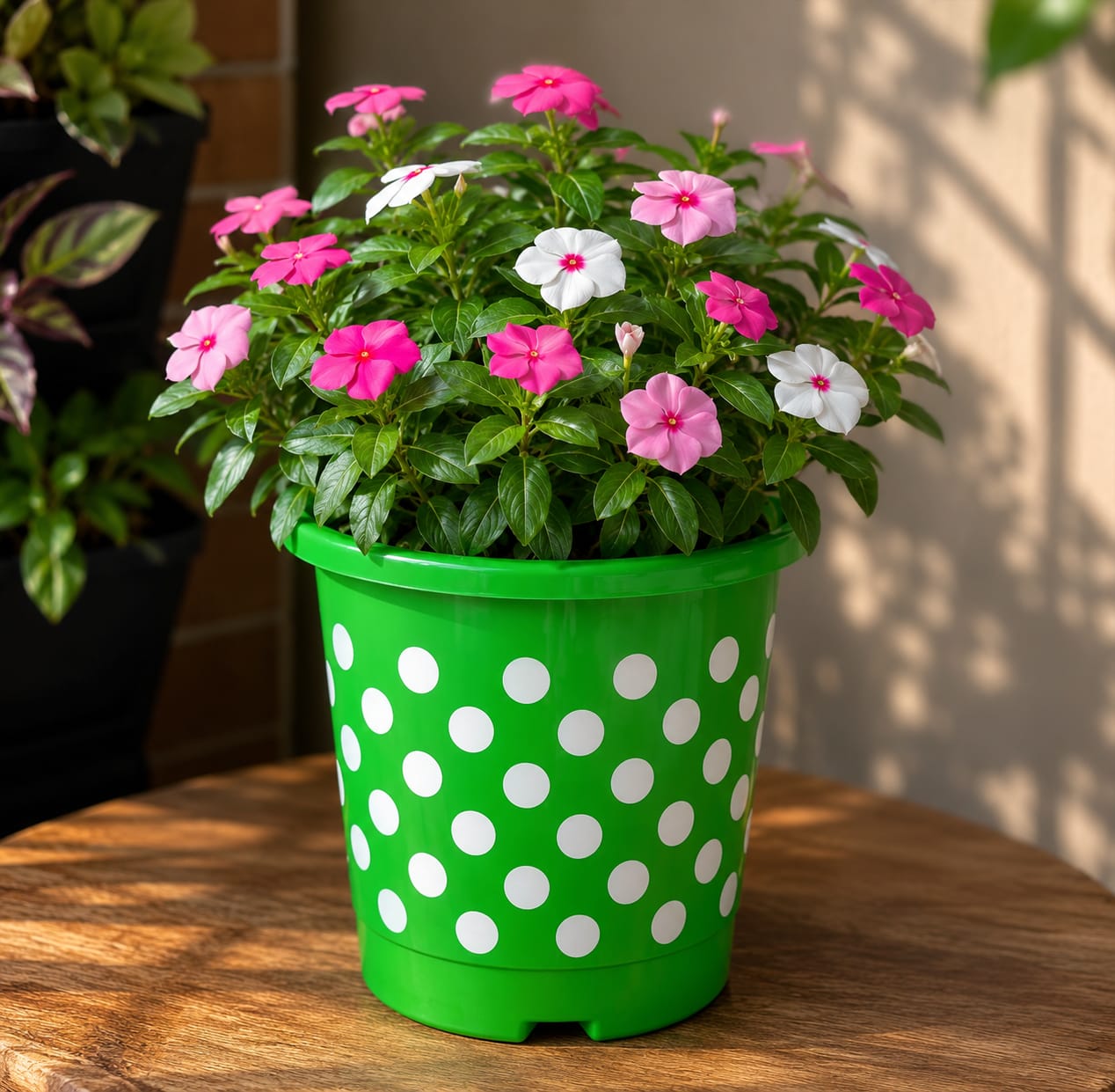 Polka Dot Pots