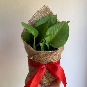 The Burlap Wrap Bouquet