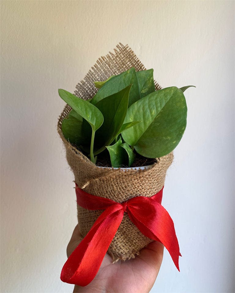 The Burlap Wrap Bouquet