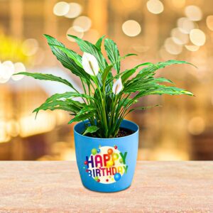The "Happy Birthday" Planter