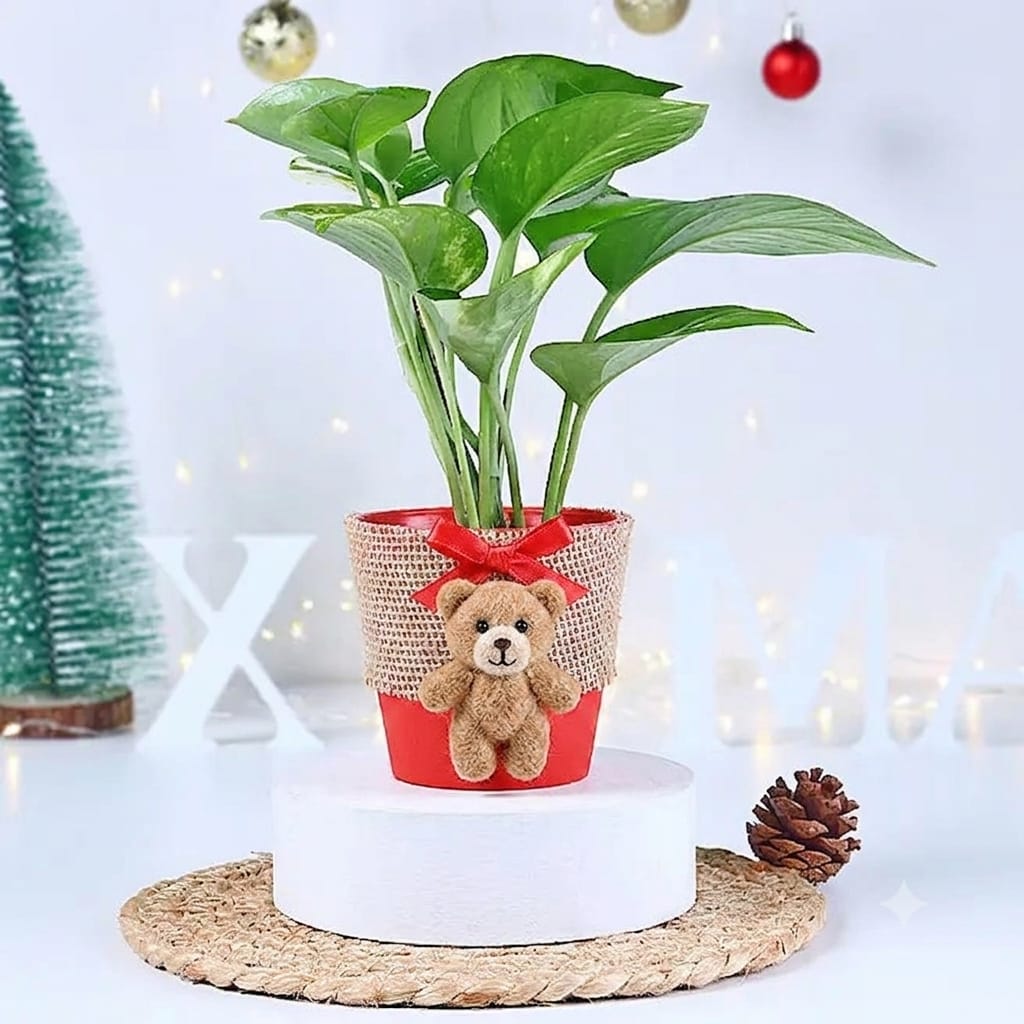The Holiday Bear Planter